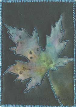 "Leaf Sunprint" by Barbara Kaye Smith, Sparta WI - Fabric